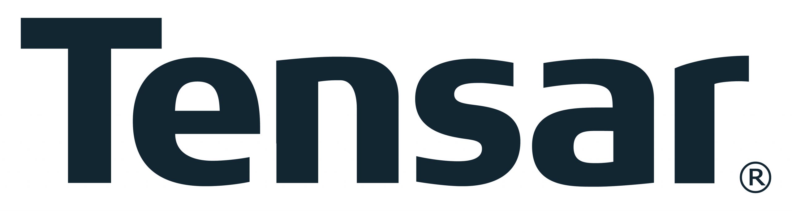 Logo Tensar scaled